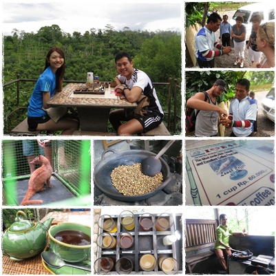 Coffee plantation visit